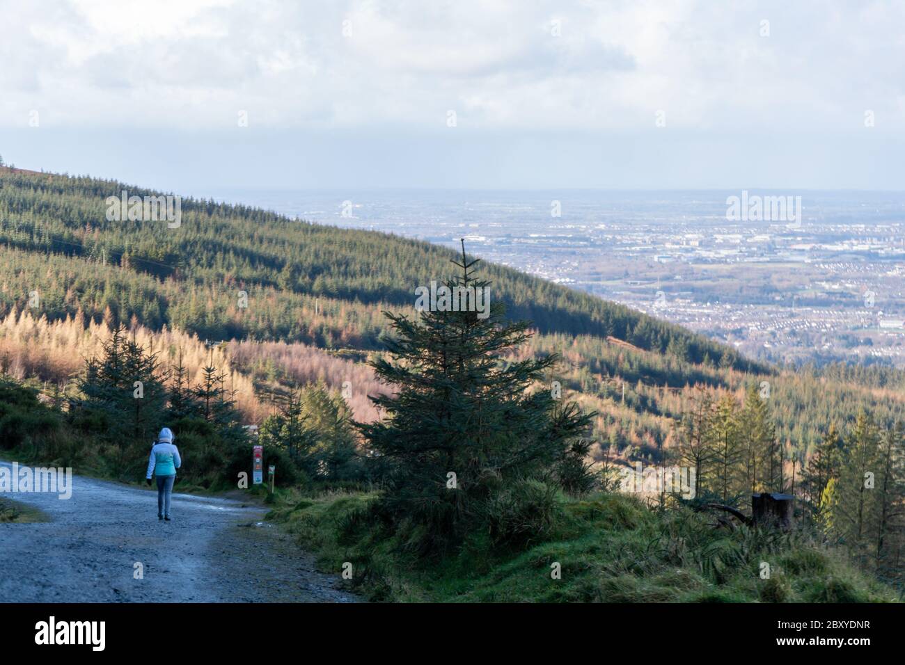 Rückansicht einer jungen Frau beim Wandern im irischen Wald. Wandermädchen ist in düsteren mystischen und dunklen Wald zu Fuß - Thriller-Szene. Weitwinkelobjektiv, wählen Sie Stockfoto