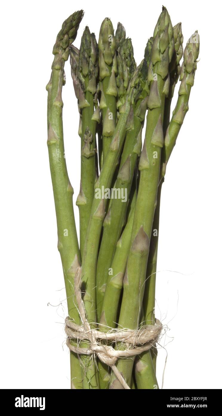Spargel Stockfoto