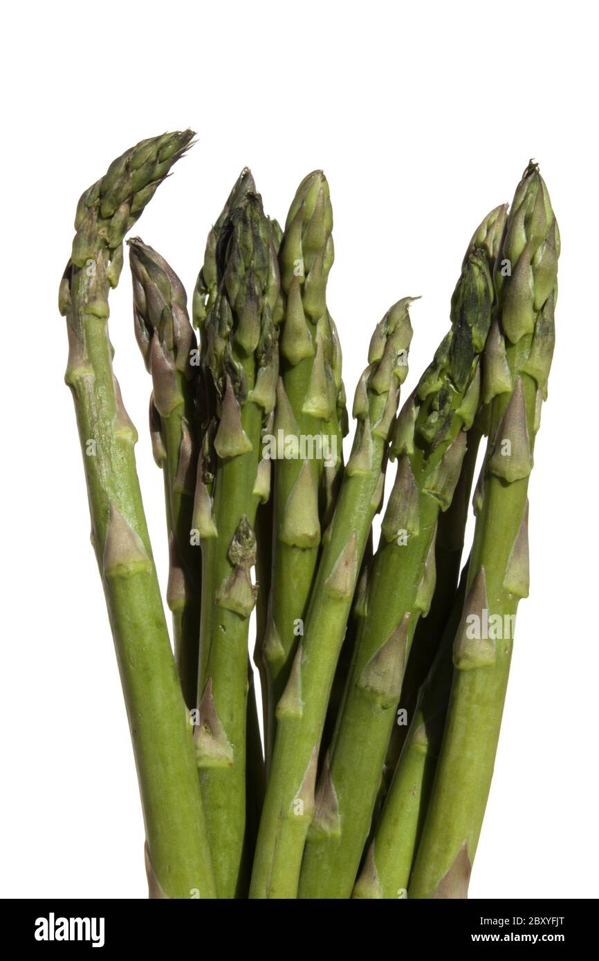 Spargel Stockfoto