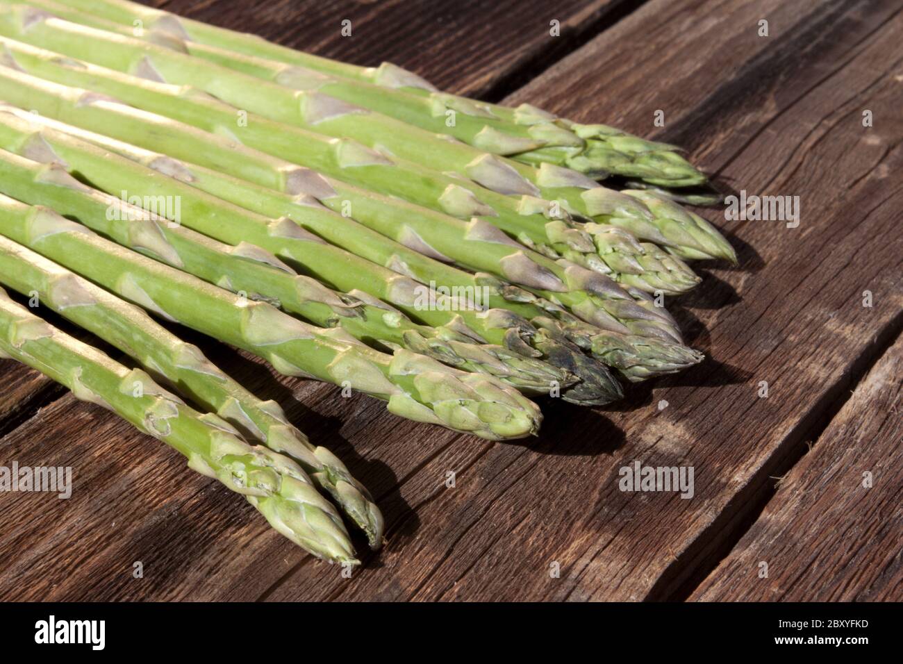 Spargel Stockfoto