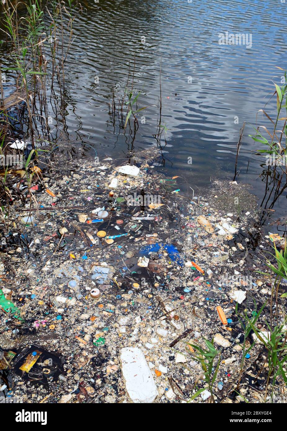 Wasserverschmutzung im Fluss Stockfoto