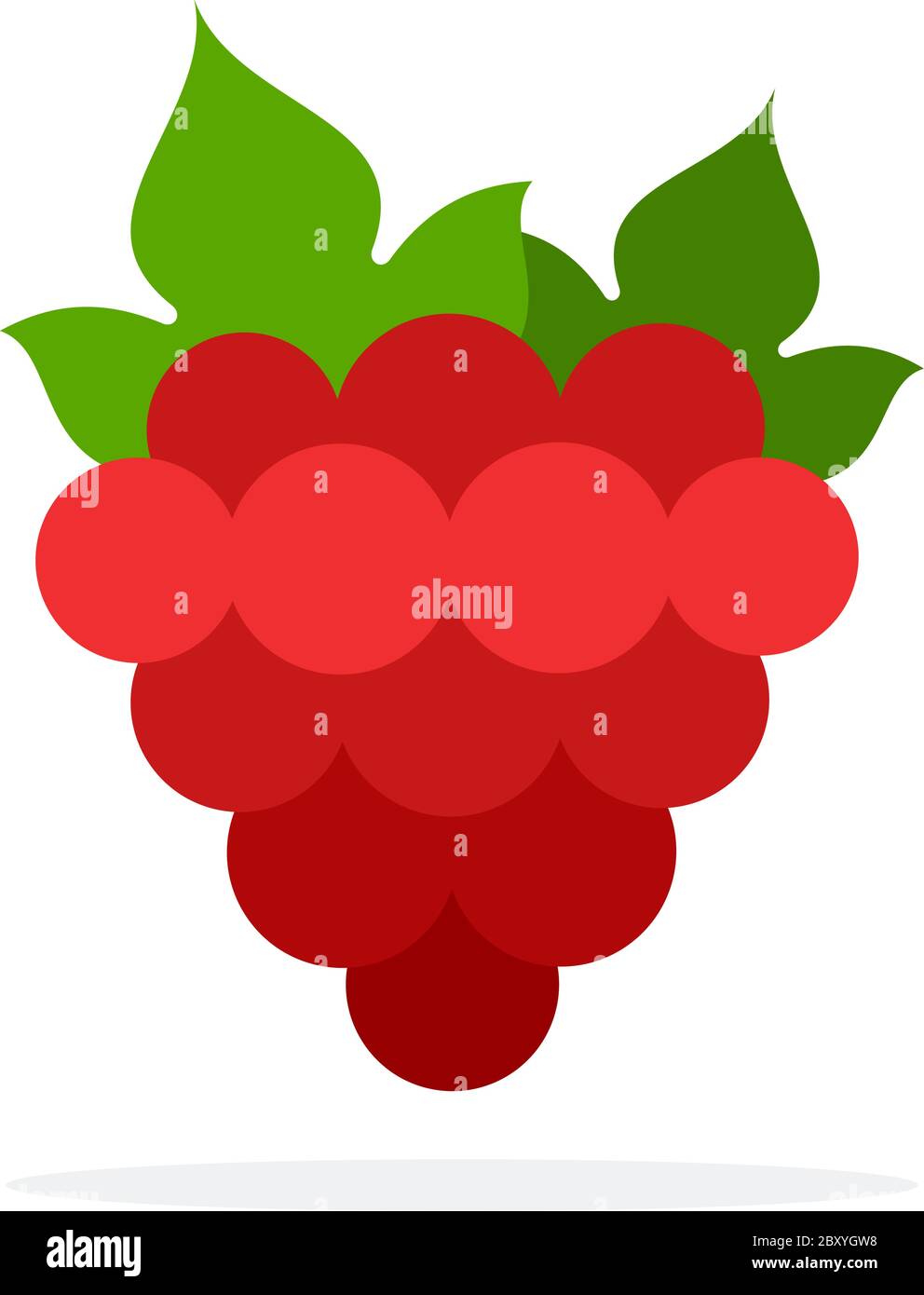 Trauben von roten Trauben mit Blättern Stock Vektor