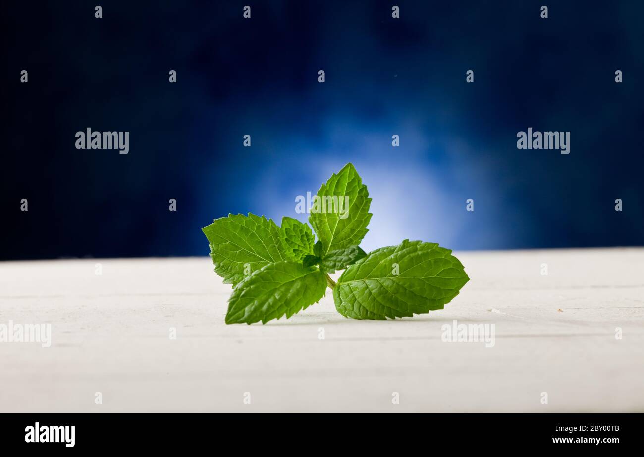 Minzblätter auf Holztisch mit Punktlicht Stockfoto