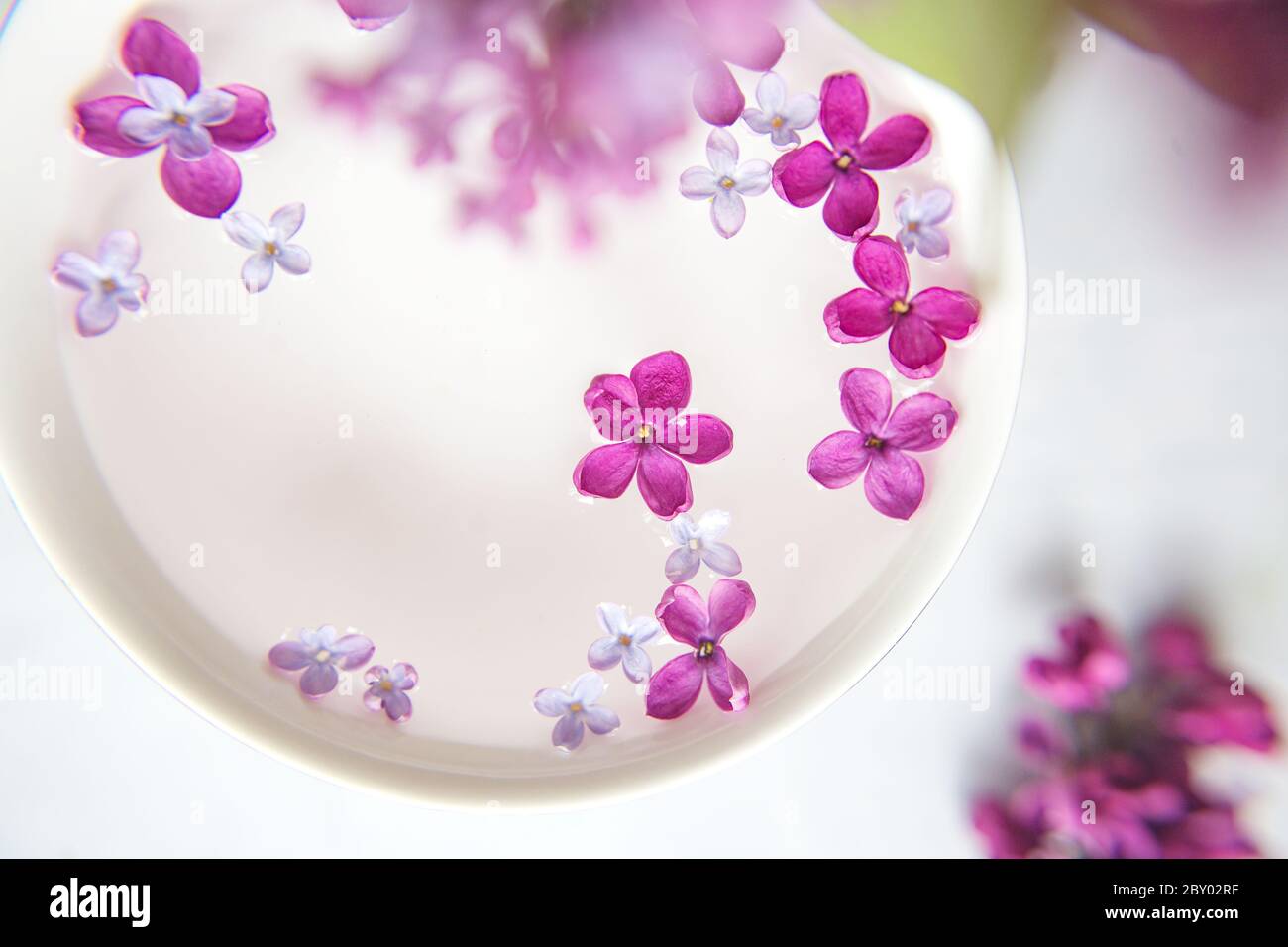 Fünf-spitz Flieder Blume unter Flieder Blumen in einer Tasse mit Wasser. Spa-Ritual. Fliederzweig mit einer Blume mit 5 Blütenblättern. Stockfoto