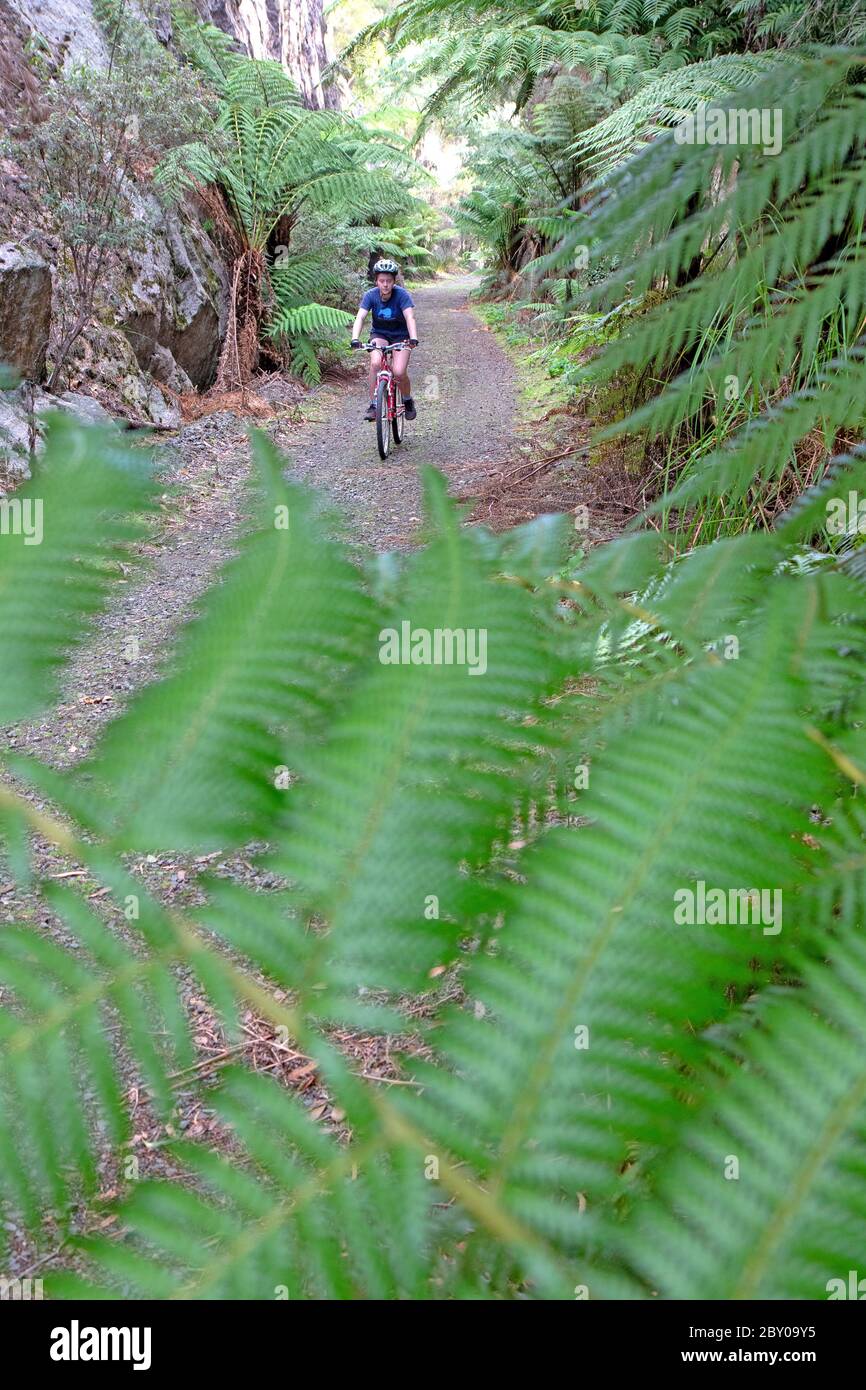 Radfahren auf der North East Rail Trail Stockfoto