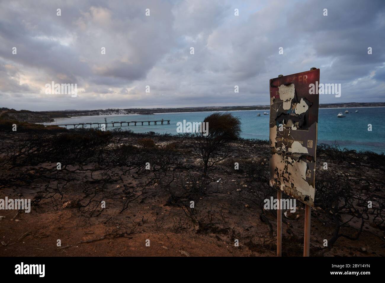Die verwüstete Landschaft von Kangaroo Island wird Ende Februar 2020 langsam wieder lebendig. Stockfoto