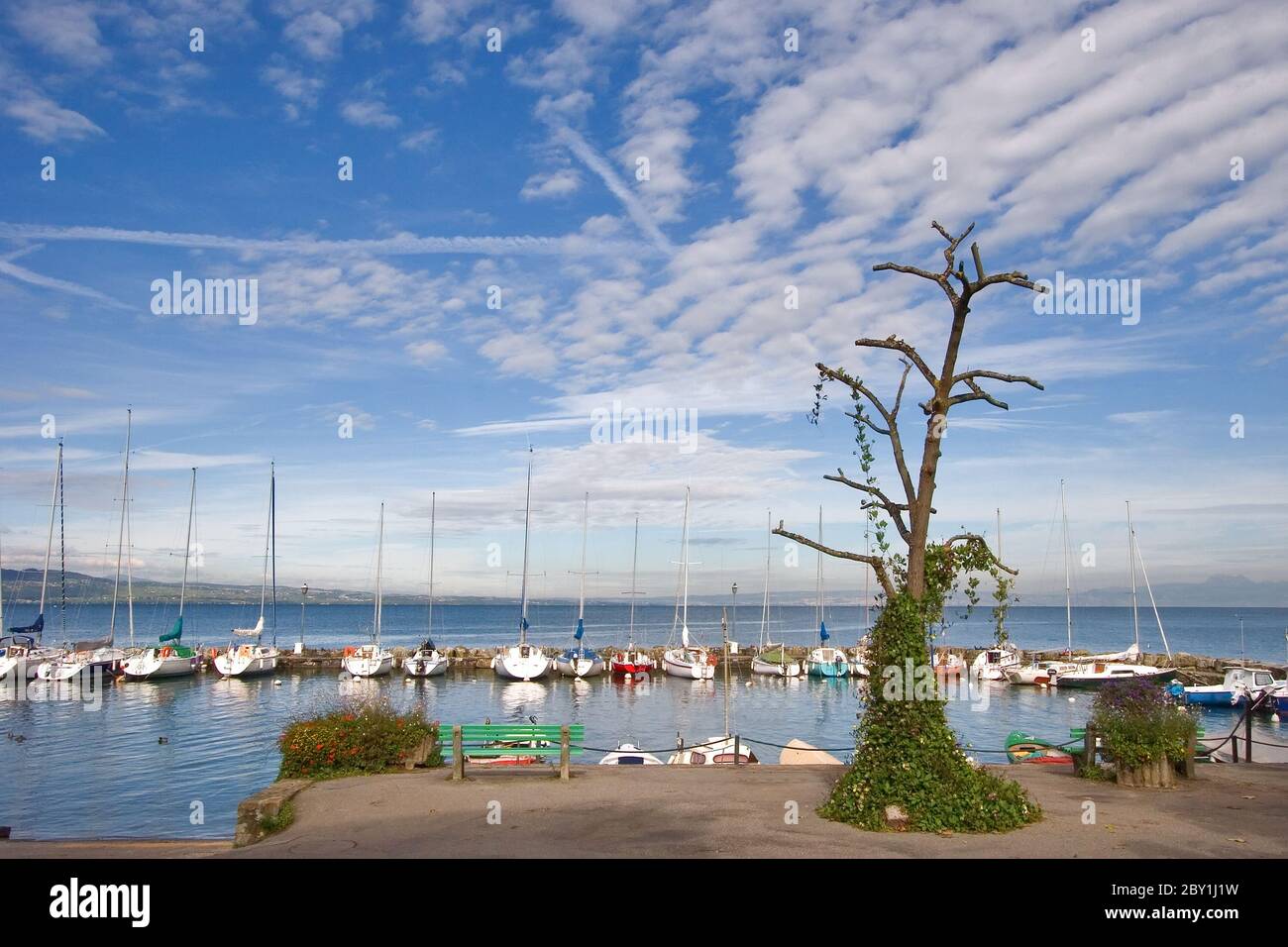 Segelschiffe warten auf Touristen Stockfoto