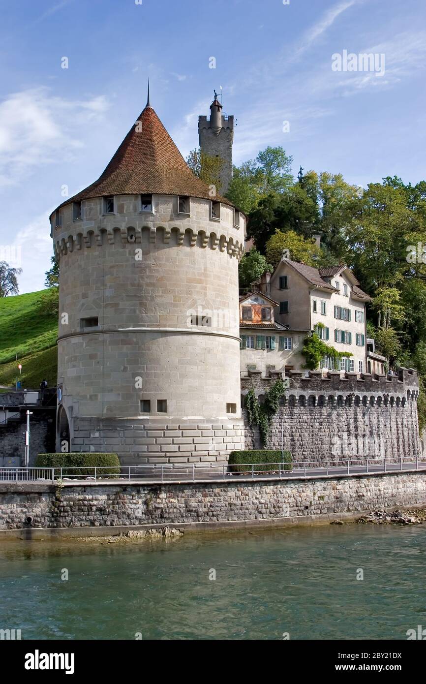 Treuer Wächter Stockfoto