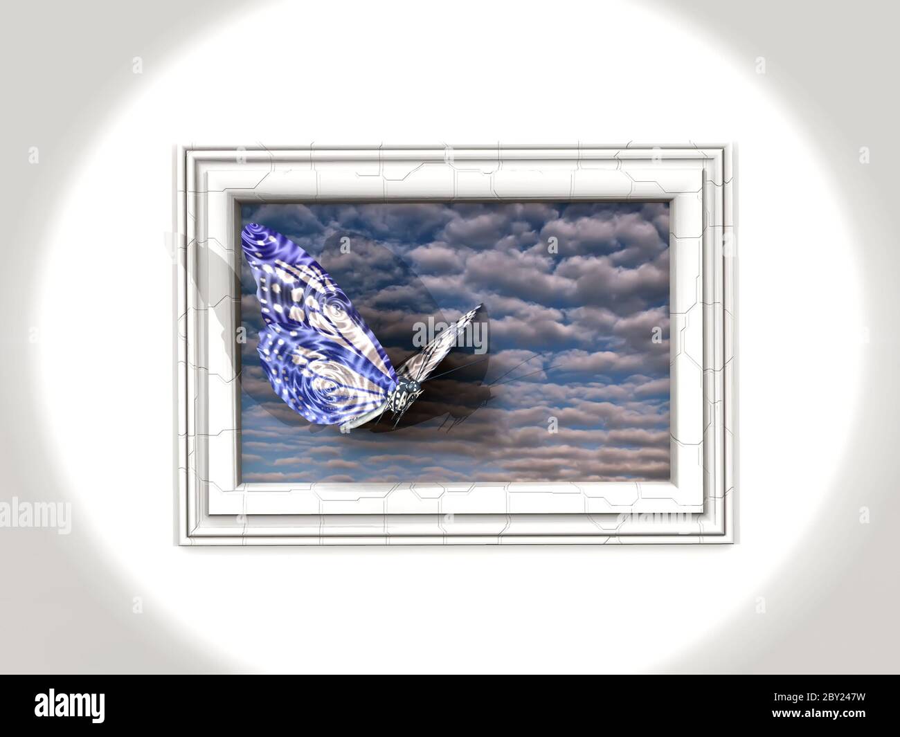 Schmetterling und Rahmen Stockfoto