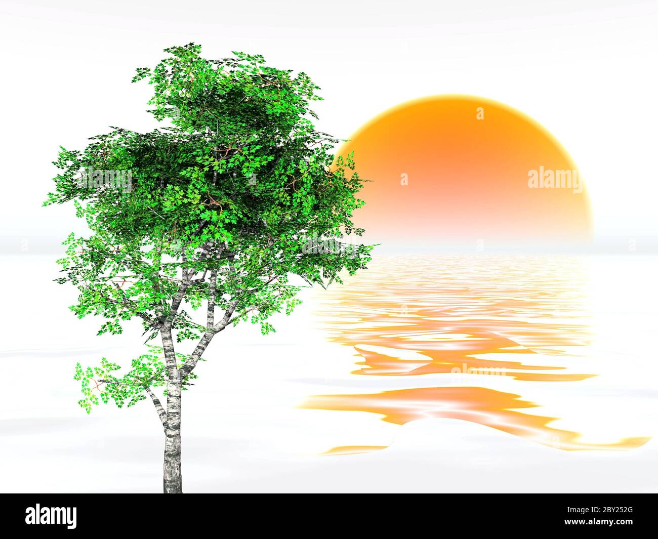 Baum und Sonne Stockfoto