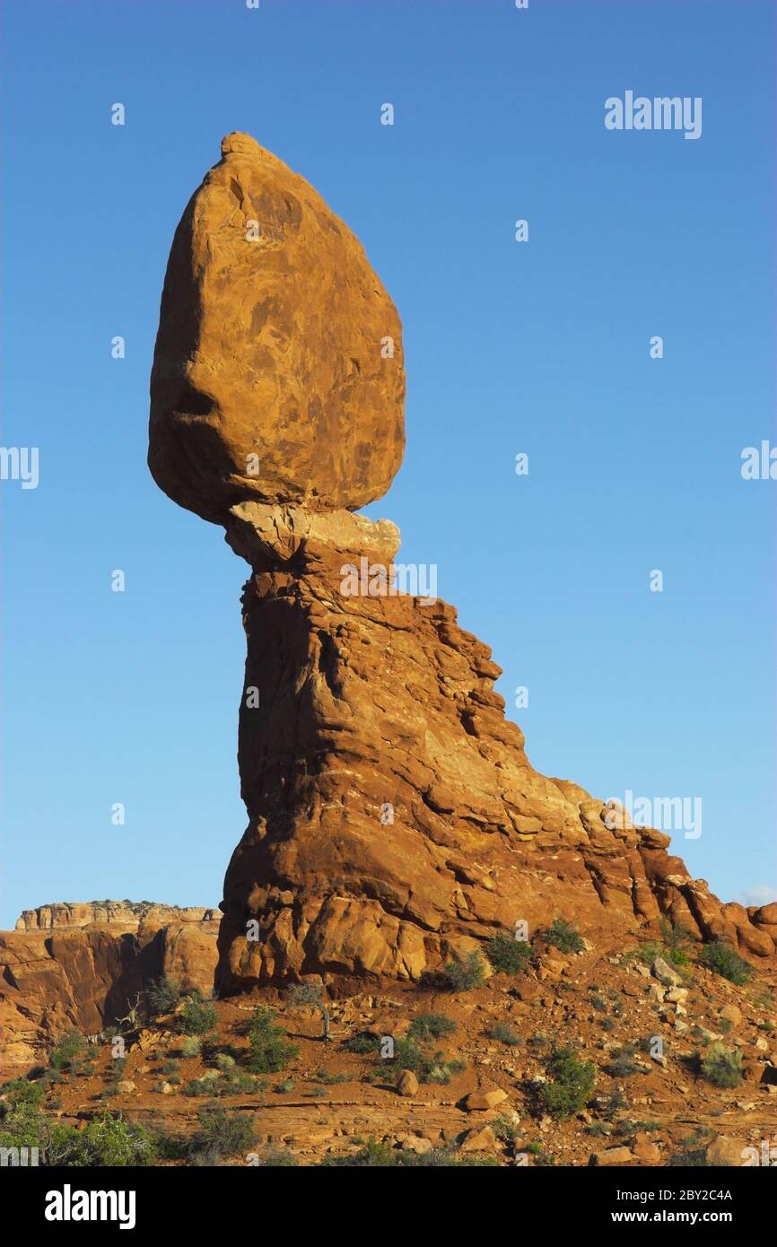 Torheiten der Natur. Stockfoto