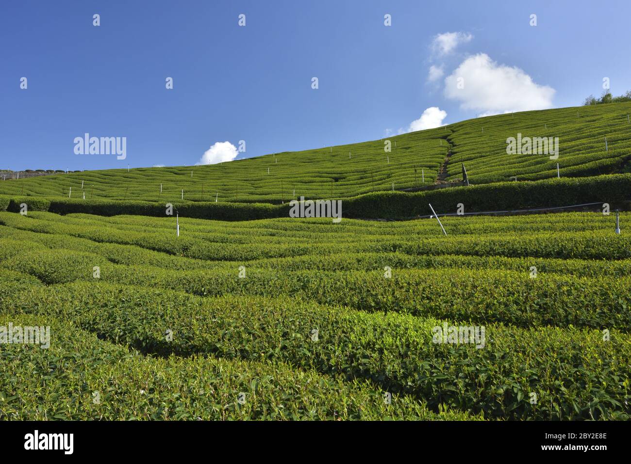 Landkreis chiayi Fotos und Bildmaterial in hoher Auflösung Alamy