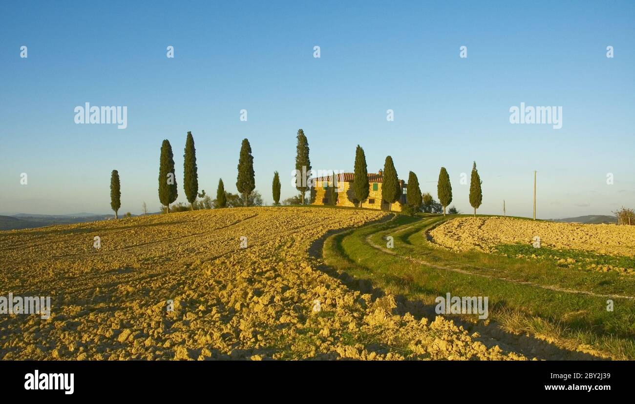 typisch toskanische Landschaft Stockfoto