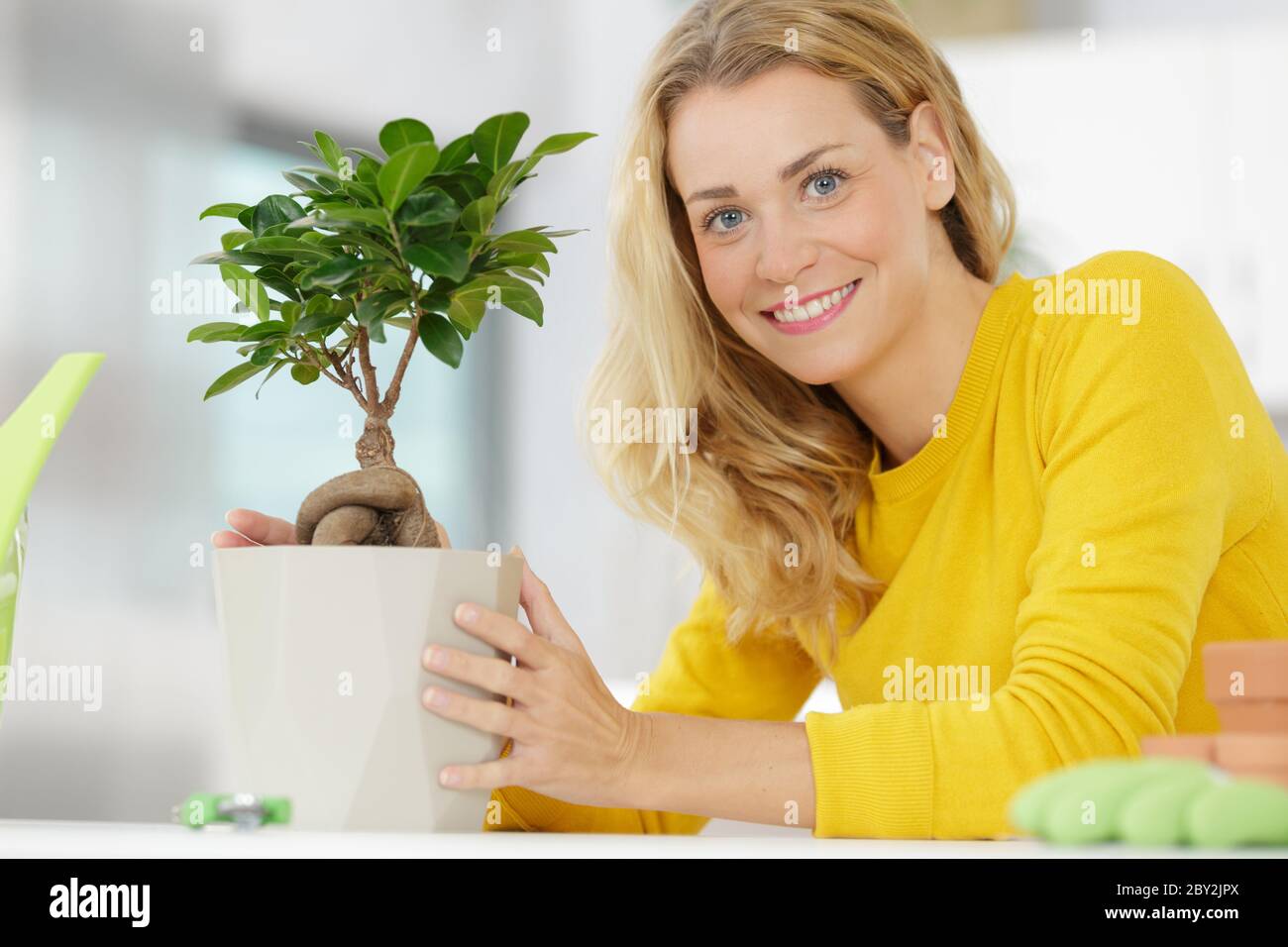 Junge Frau, die sich um Bonsai-Baum kümmert Stockfoto