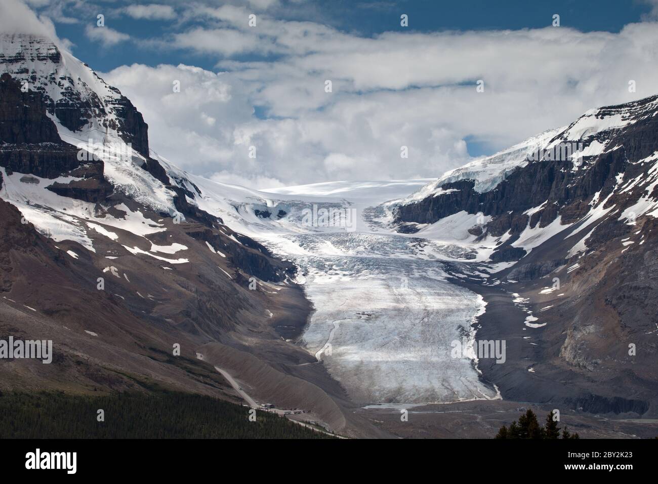 Athabasca Gletscher von Wilcox Ridge Stockfoto