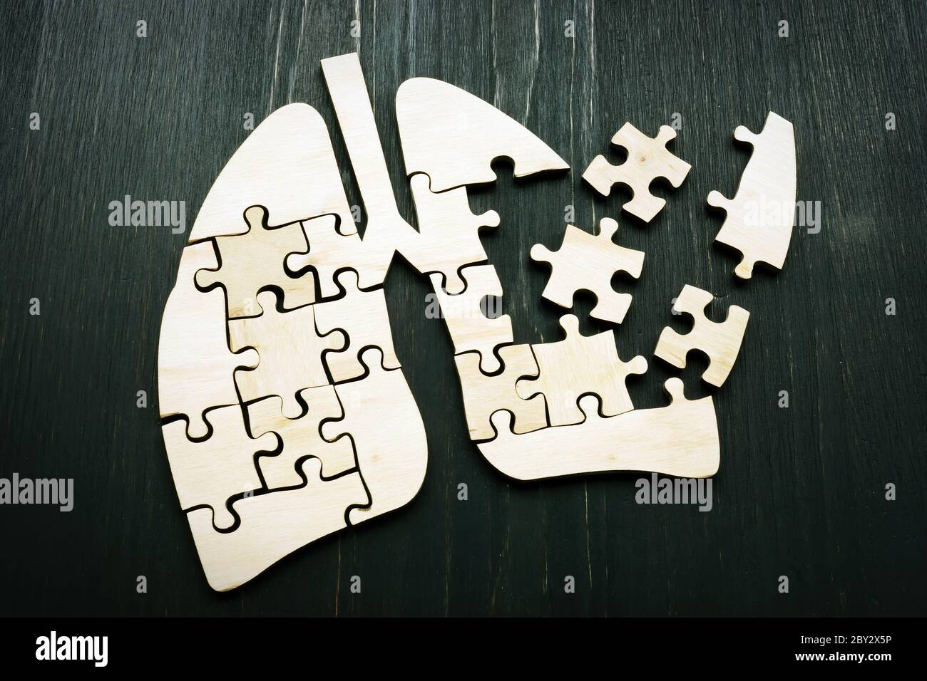 Menschliche Lunge aus Puzzles als Symbol für Lungenkrebs oder Atemwegserkrankungen. Stockfoto