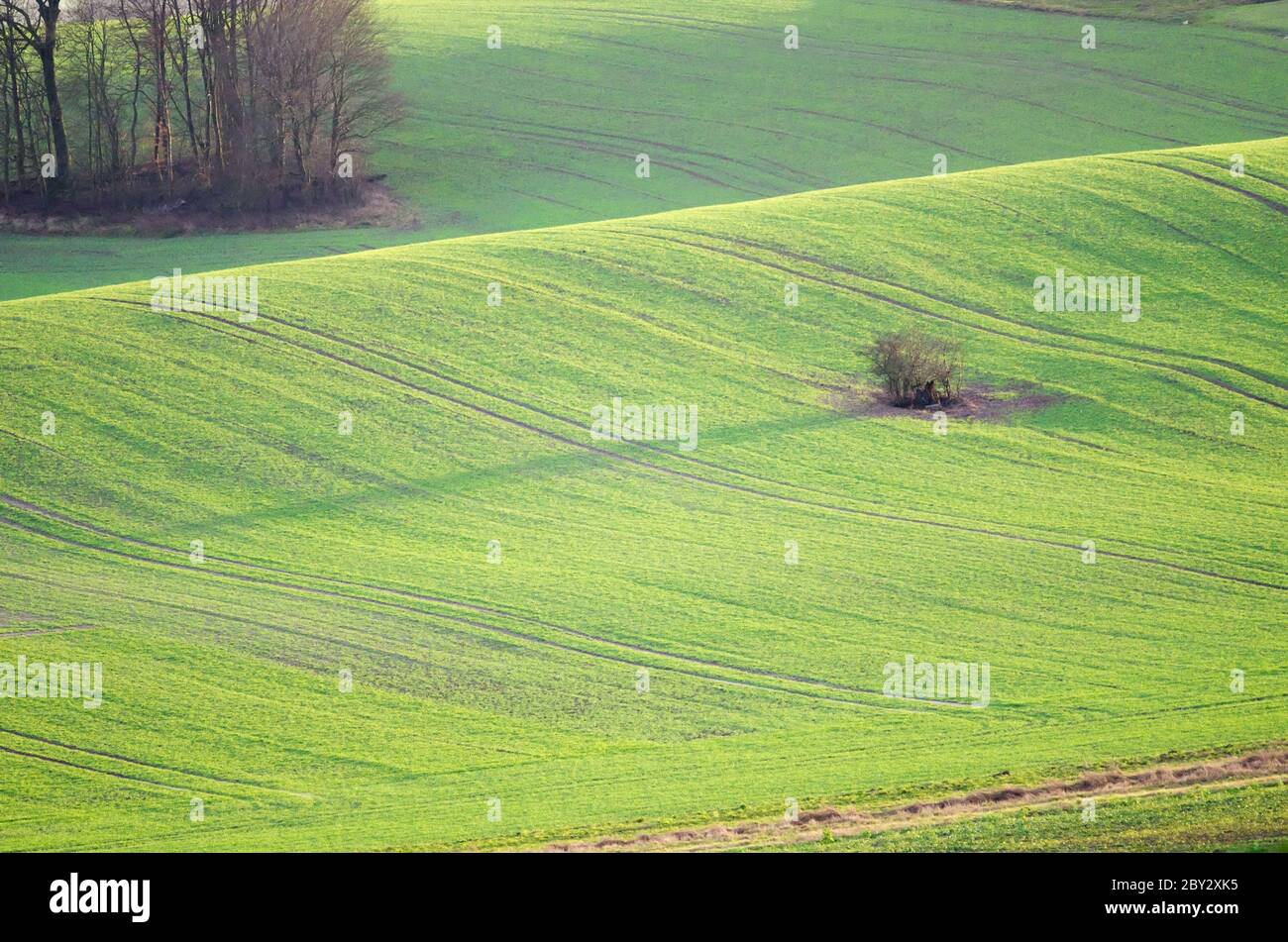 Das grüne Feld Stockfoto