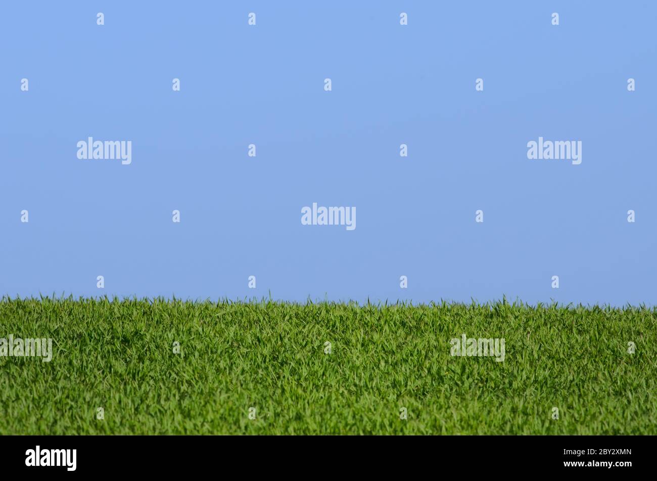 blauer Himmel und grünen Rasen Stockfoto