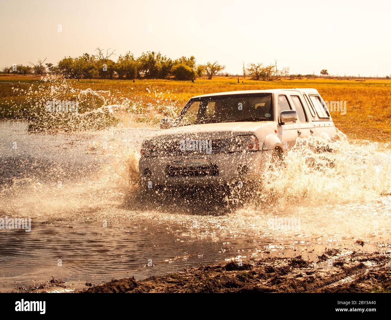 Geländewagen, die Wasser auf Safari Wildfahrt im Chobe National Park, Botswana, Afrika fording. Stockfoto