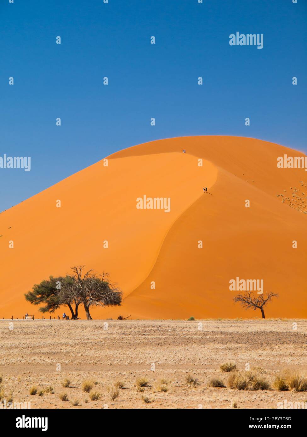 Die bekannteste Düne der Namib Wüste - Dune 45 (Namibia) Stockfoto