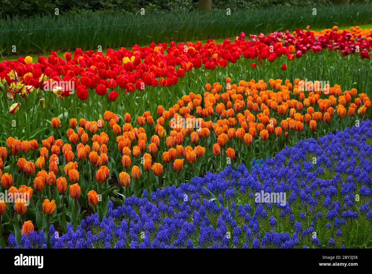 Farbenfrohe Blumenbeete Stockfoto