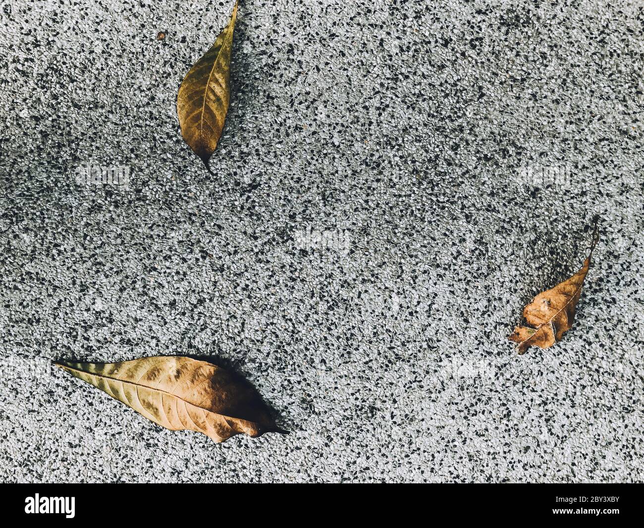 Mörtelsteingang mit trockenen Blättern. Details der modernen Architektur. Stockfoto