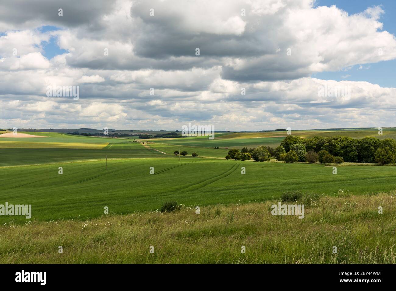 Blick vom Morgans Hill auf die grünen Wiltshire Fields. Ein Ort von besonderem wissenschaftlichem Interesse. Wiltshire, England, Großbritannien Stockfoto