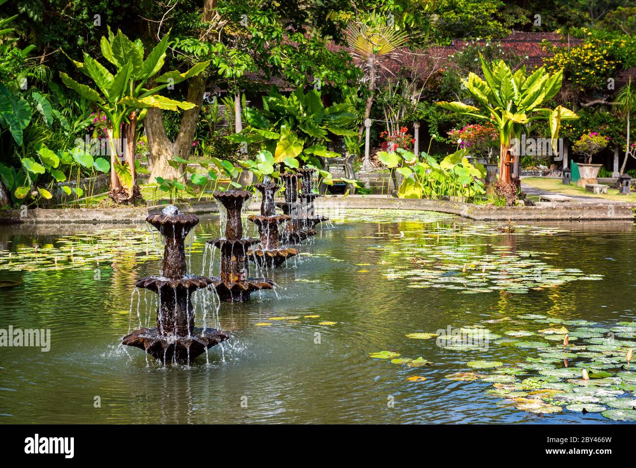 Teich mit lotoblüten im Wasserpalast von Tirta Gangga in Ost-Bali, Indonesien. Steinfiguren balinesischer Götter Stockfoto