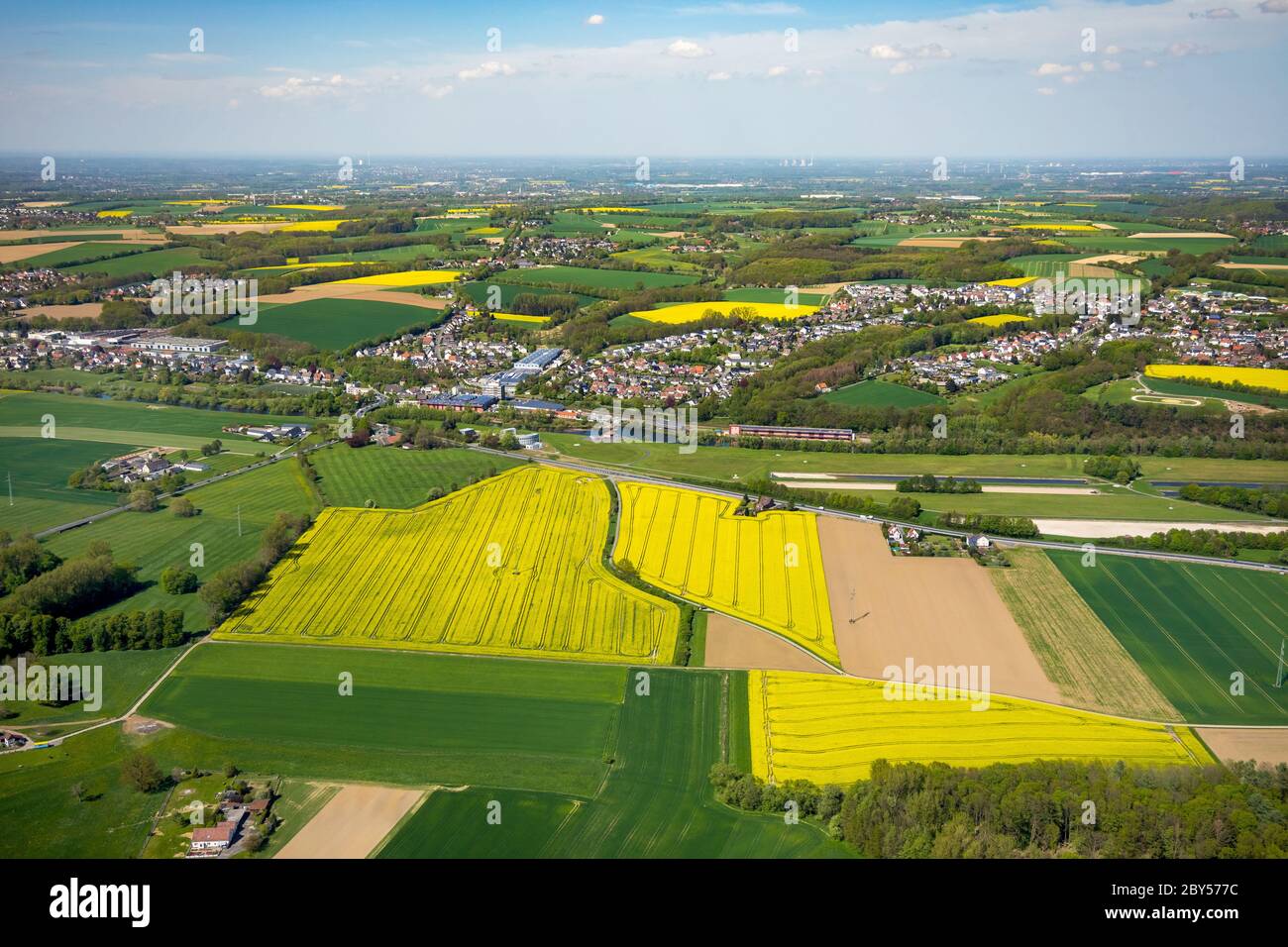 Blühende Rapsfelder in Abendsiepen, 24.04.2019, Luftaufnahme, Deutschland, Nordrhein-Westfalen, Ruhrgebiet, Froendenberg Stockfoto