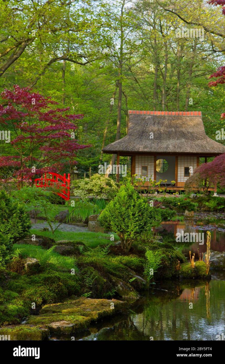 Japanischer Garten Stockfoto