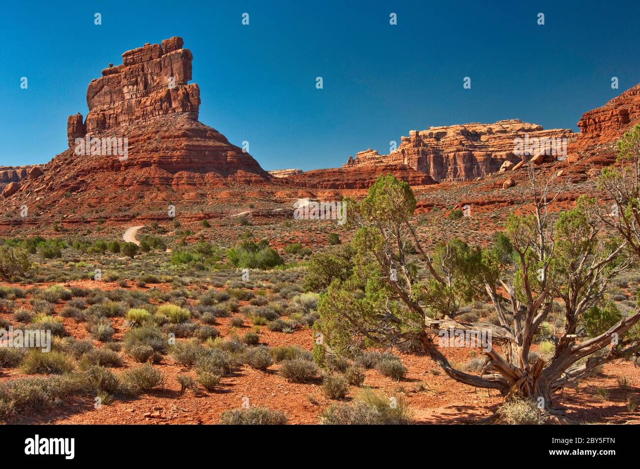Sandsteinfelsen im Valley of the Gods, Bears Ears National Monument, Utah, USA Stockfoto