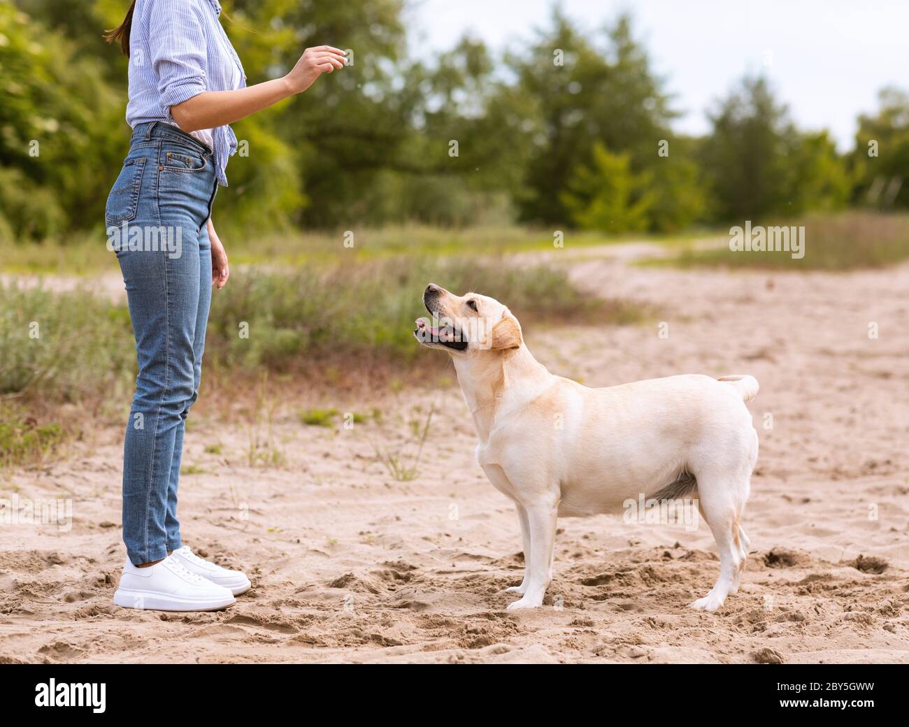Unkenntlich Frau, die ihrem gehorsamen Hund einen Befehl gibt Stockfoto