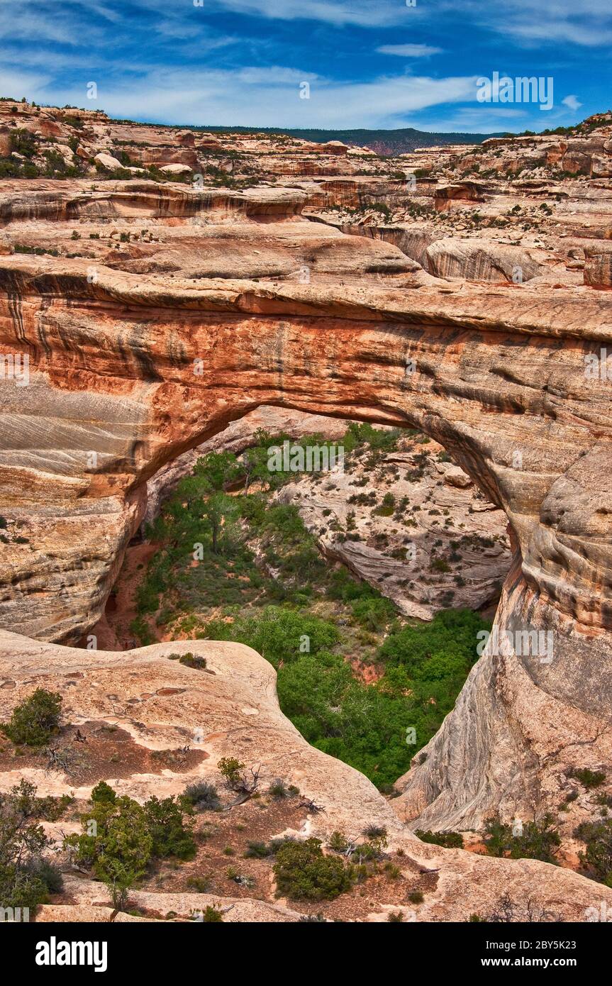 Sipapu Bridge bei natürlichen Brücken Nat. Denkmal, Utah, USA Stockfoto