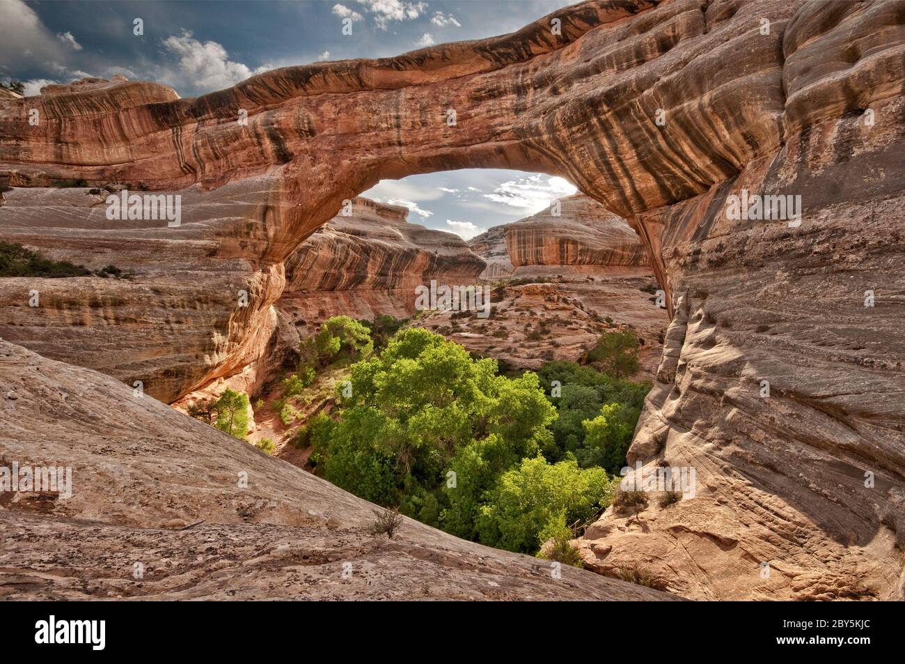 Sipapu Bridge bei natürlichen Brücken Nat. Denkmal, Utah, USA Stockfoto