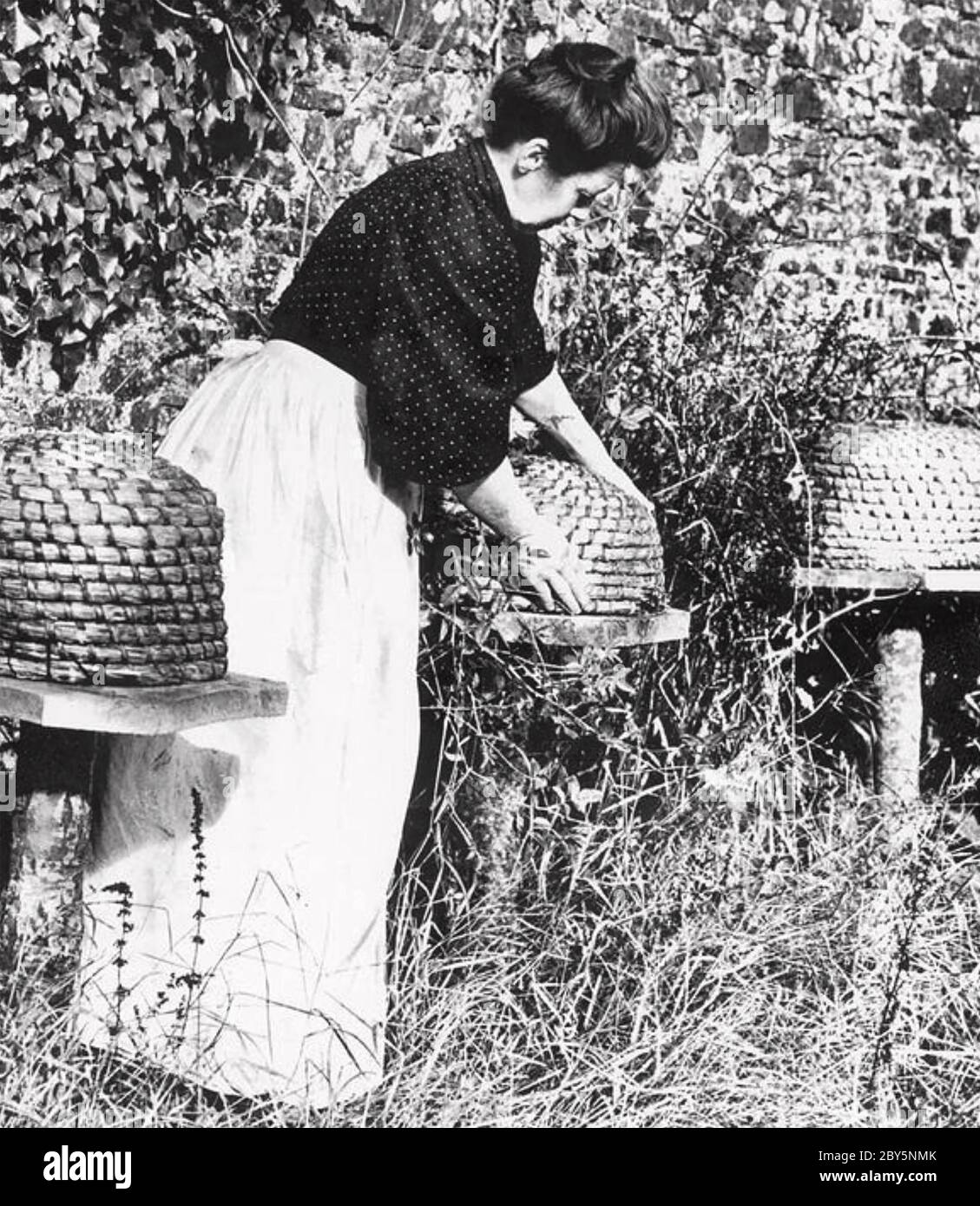BIENENHALTER mit gewobenen etwa 1890skep Stil Bienenstöcke um 1890 Stockfoto