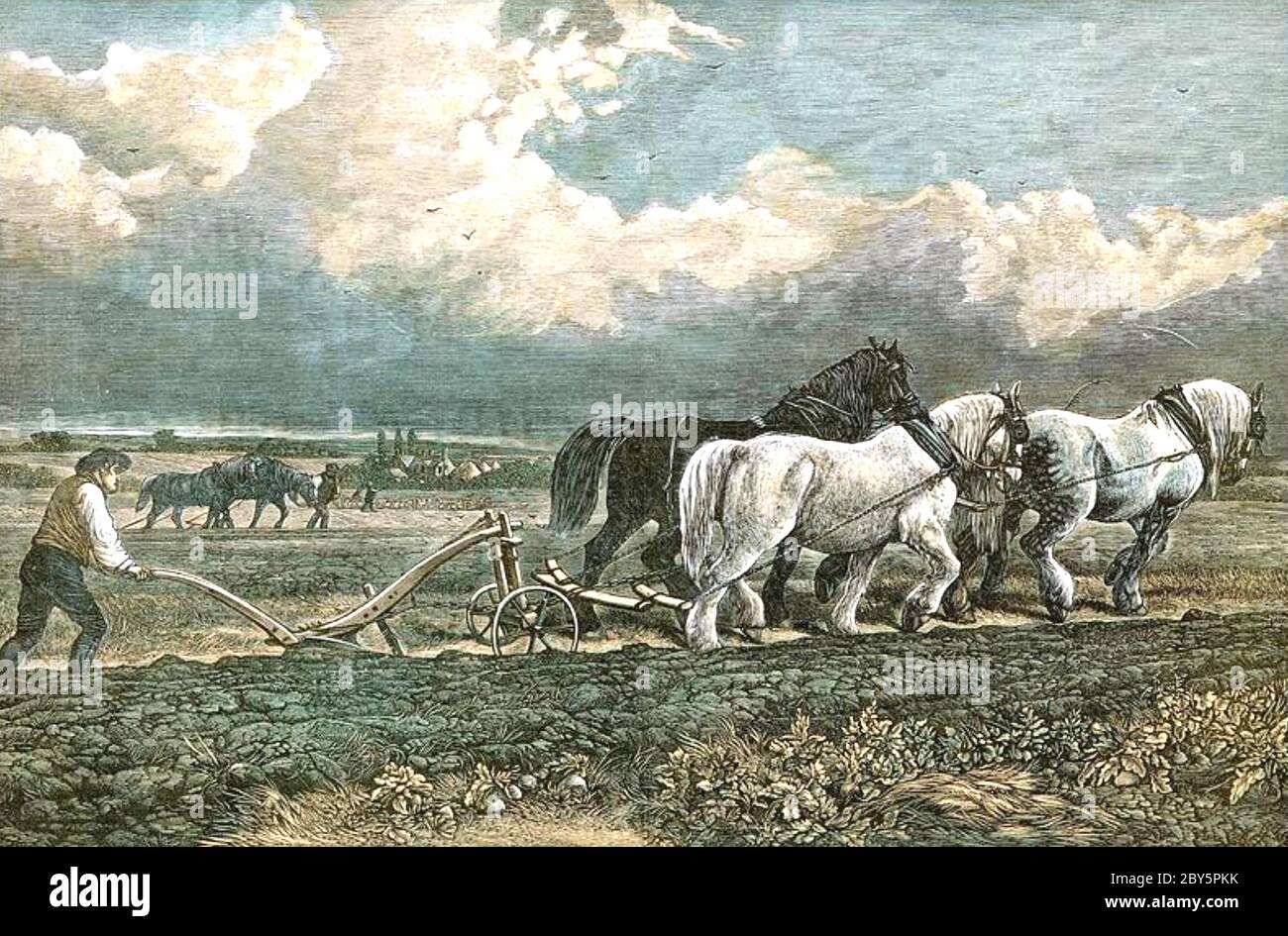 PFLÜGEN 19. Jahrhundert mit einem drei Pferde-Team Stockfoto
