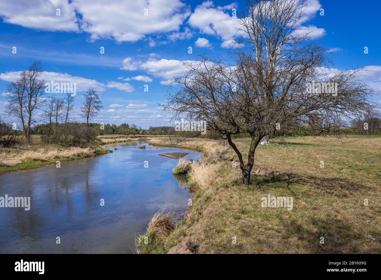 Liwiec Fluss in Gmina Lochow innerhalb WeGrow County, Polen Stockfoto