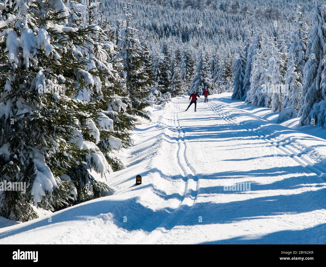 Sonniger Tag auf dem Wintergebirge mit präparierten Loipen, Isergebirge, Tschechische Republik Stockfoto