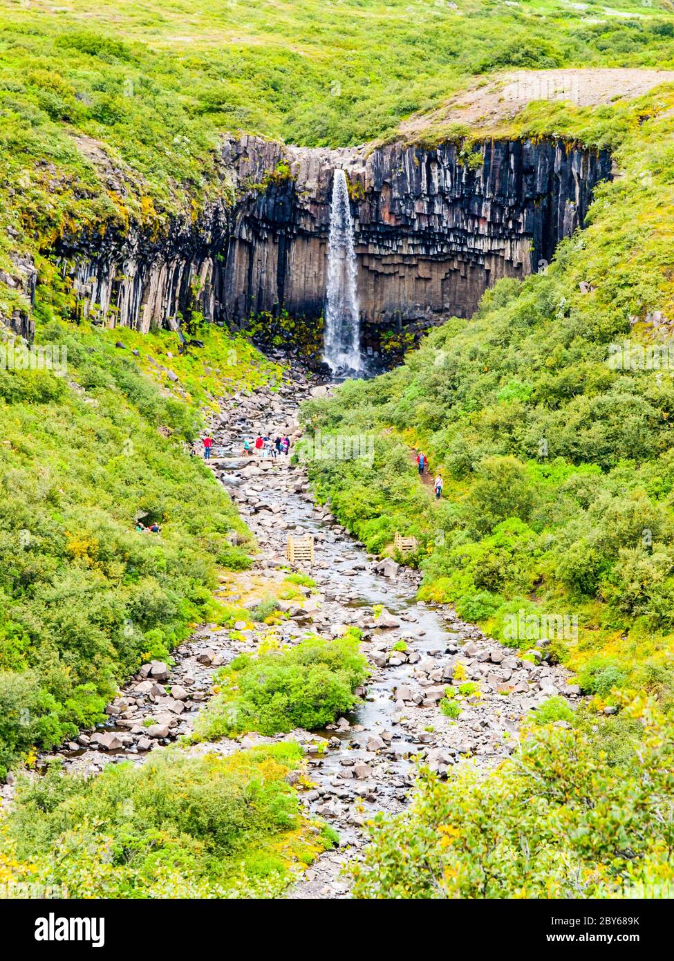 Svartifoss Wasserfall mit Basaltsäulen, Skaftafell Nationalpark, Island. Stockfoto