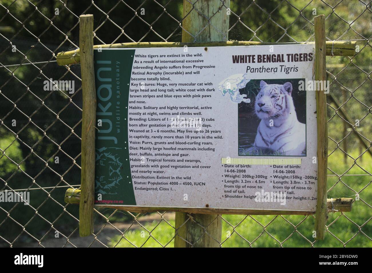 Informationstafel über Bengal Tiger, eine seltene Art, in Jukani Wildlife Sanctuary in der Nähe von Plettenberg Bay. Garden Route, Südafrika, Afrika. Stockfoto