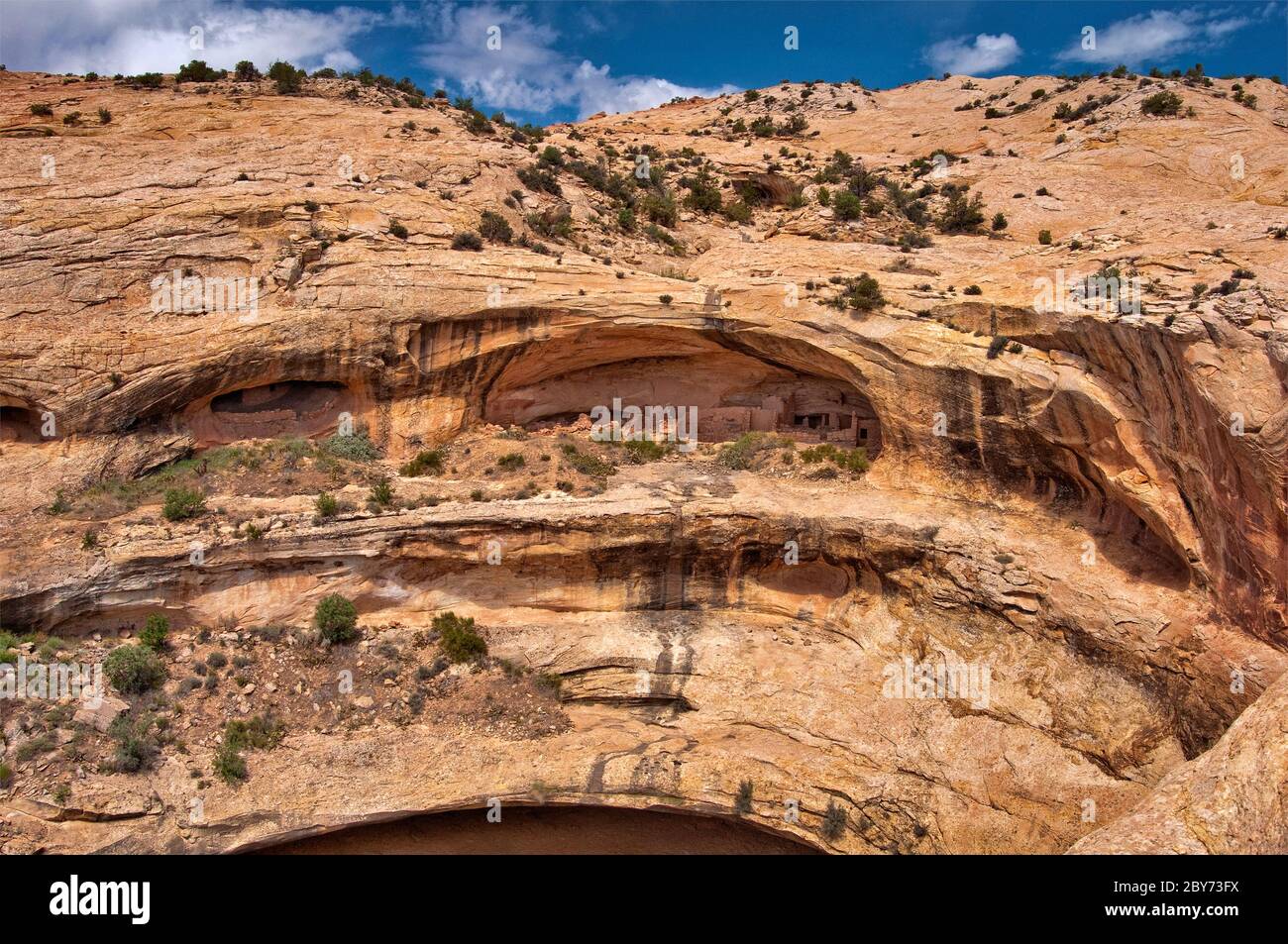 Butler Wash Ruin, Anasazi-Gelände in der Nähe von Blanding, Shash Jaa Unit am Bears Ears National Monument, Utah, USA Stockfoto