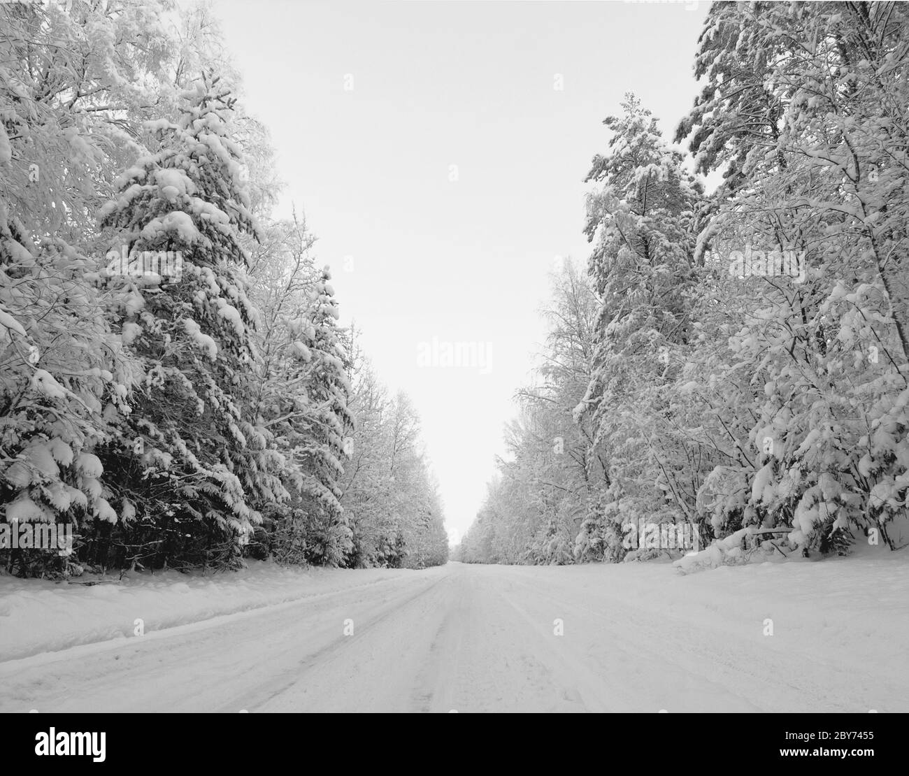 Winterlandschaft Stockfoto