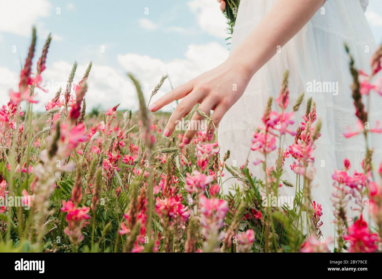 Hand der Frau berühren blühende Blumen in einem Blumenfeld launische Atmosphäre Stockfoto