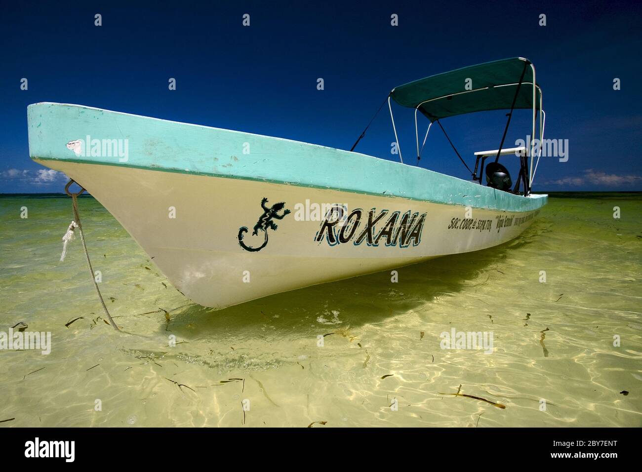 Nahaufnahme eines Bootes im blauen Nachzügler-Sian kaan Stockfoto