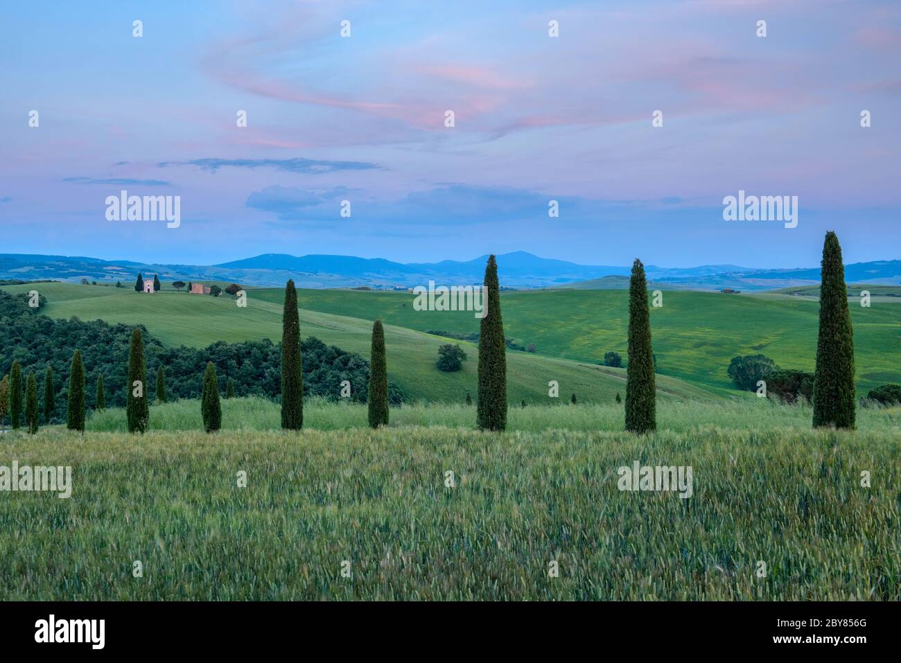 Europa, Italien, Toskana, Toscana, Siena, Pienza, Val d’Orcia, Landschaft, Kapelle unserer Lieben Frau von Vitaleta, kapelle vitaleta, vertikal Stockfoto