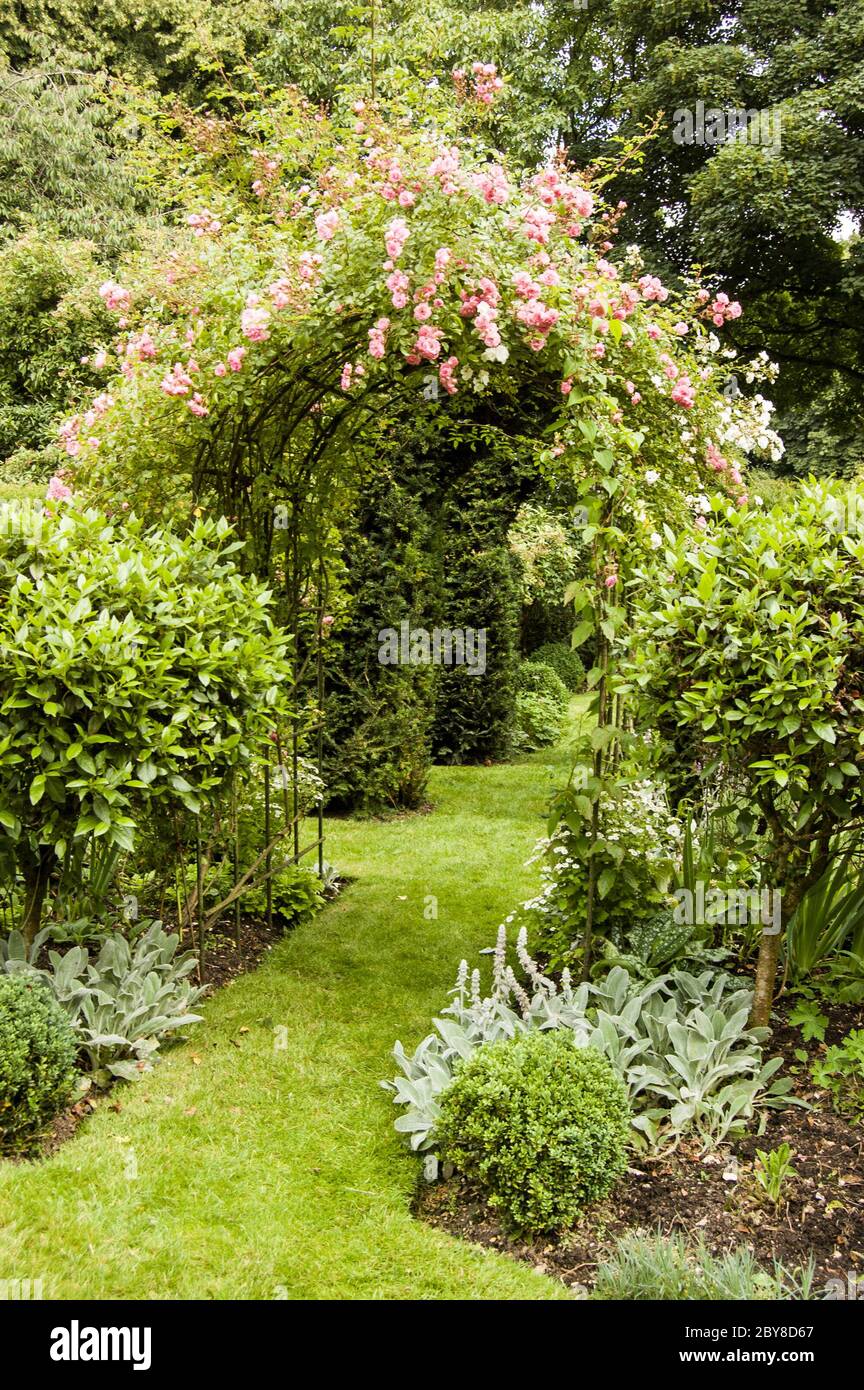 Im Sommer blühen rosa Rosen über einem Torbogen in einem englischen Garten. Stockfoto