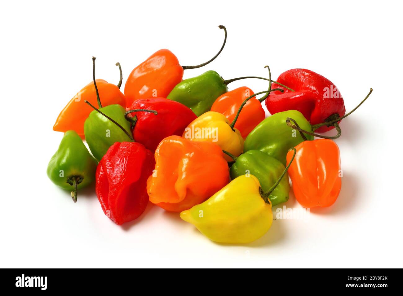 Bunte scharfe kleine Chili-Paprika isoliert im Studio auf weiß, in rot, gelb, orange und grün Stockfoto