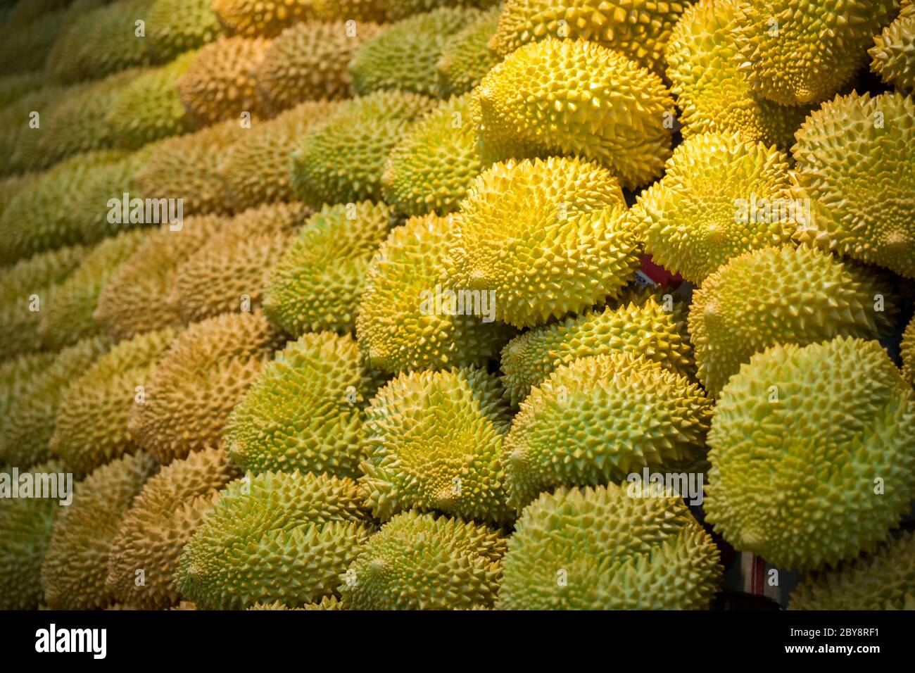 Ein Nahaufnahme von vielen frischen Durian Früchten auf dem Markt Stockfoto