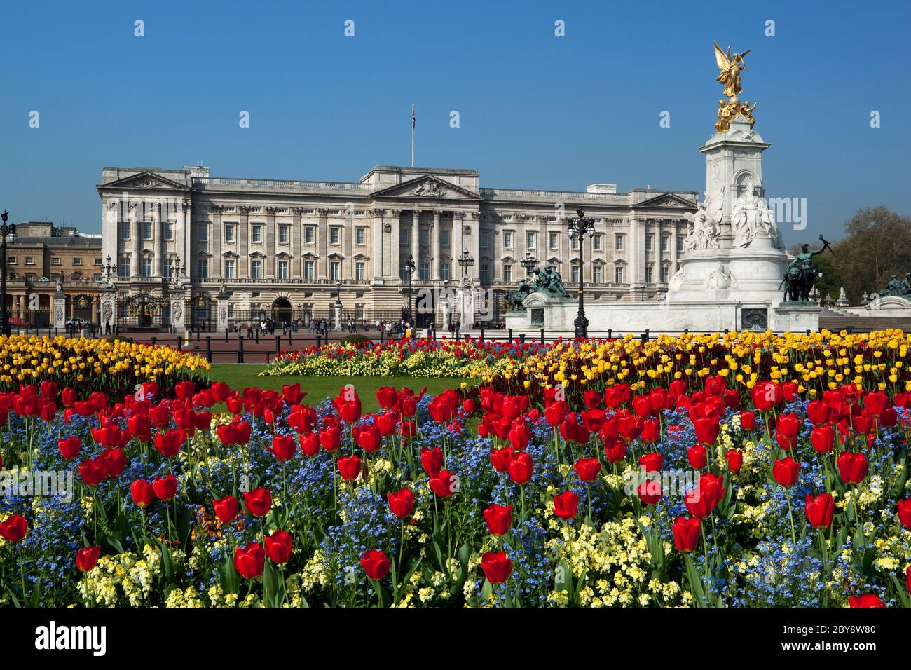 Buckingham Palace und Queen Victoria Memorial mit Spring Tulips, London, England, Großbritannien Stockfoto