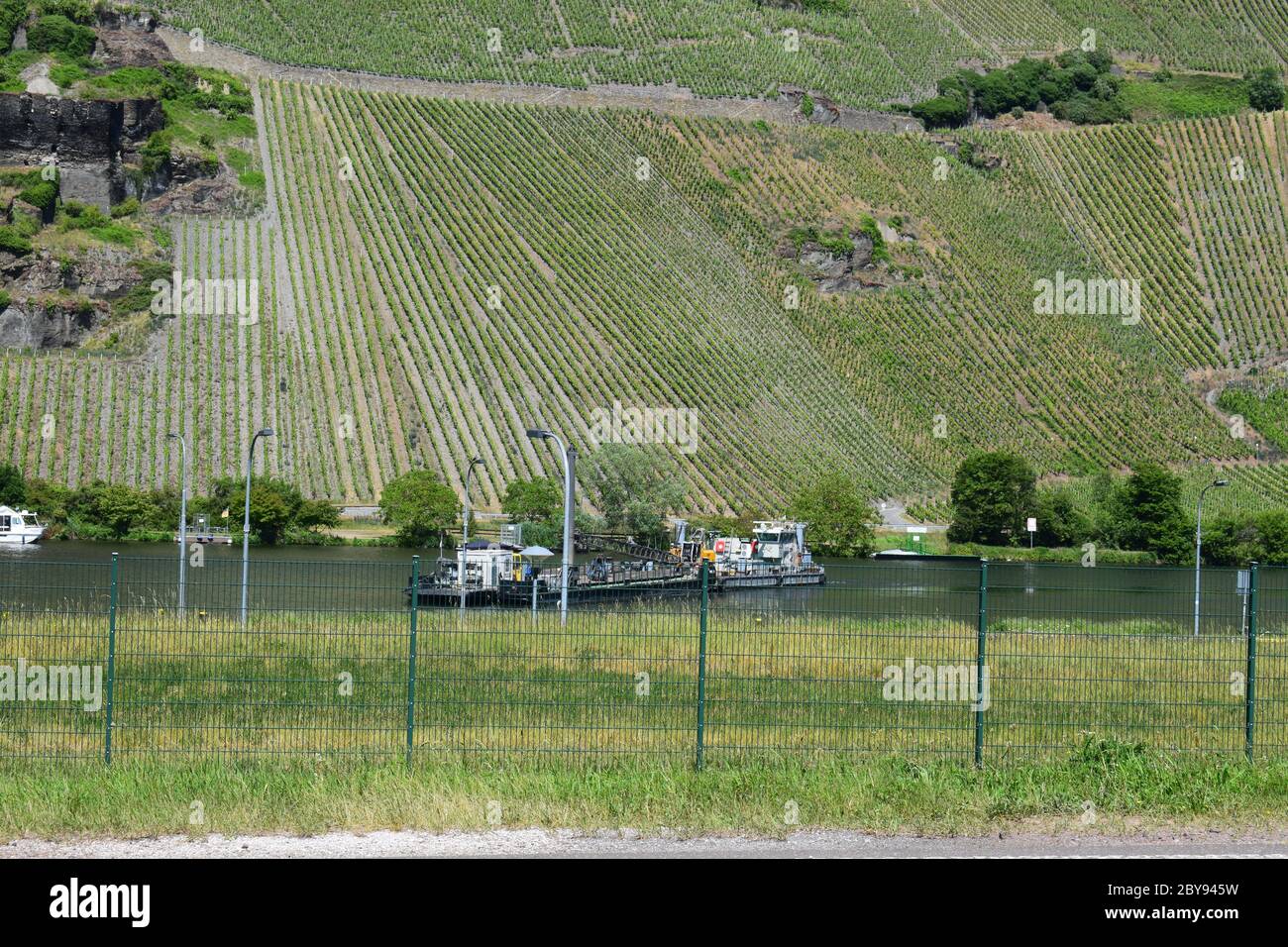 Weinberge im Moseltal bei Zeltingen-Rachtig Stockfotografie - Alamy